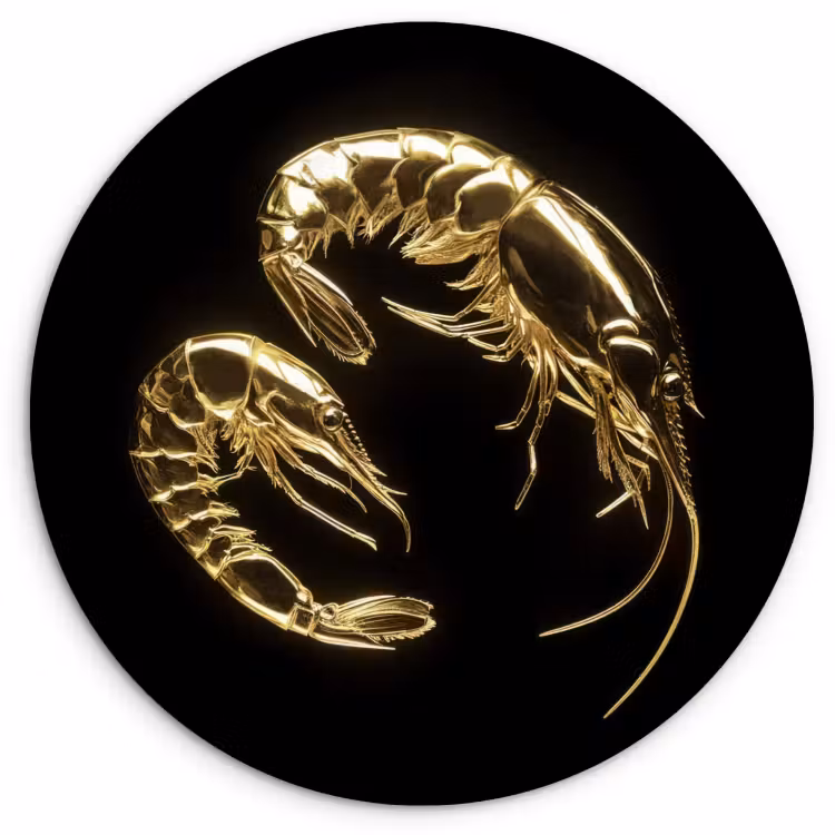 Cuadro redondo - Camarones - Negro - Oro - Animales — 1