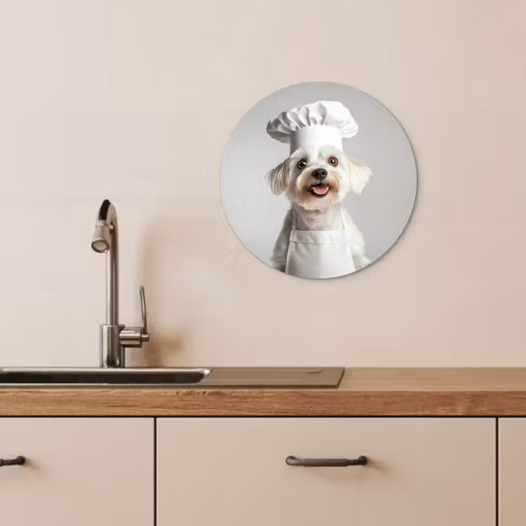 Cuadro redondo - Perro - Blanco - Cocinero — 2
