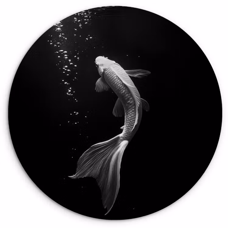 KitchenYeah - Cocina - Círculo mural Forex - Koi - Pez - Blanco - Negro — 1