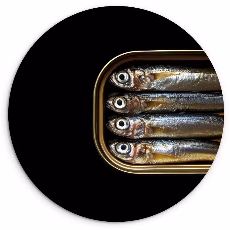 KitchenYeah - Cocina - Círculo mural Forex - Sardinas - Lata - Negro - Pescado — 1