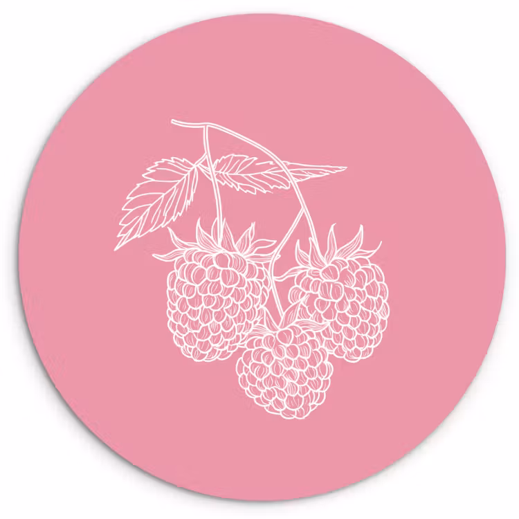 Cuadro redondo - Frambuesas - Tallo - Dibujado - Rosa — 3