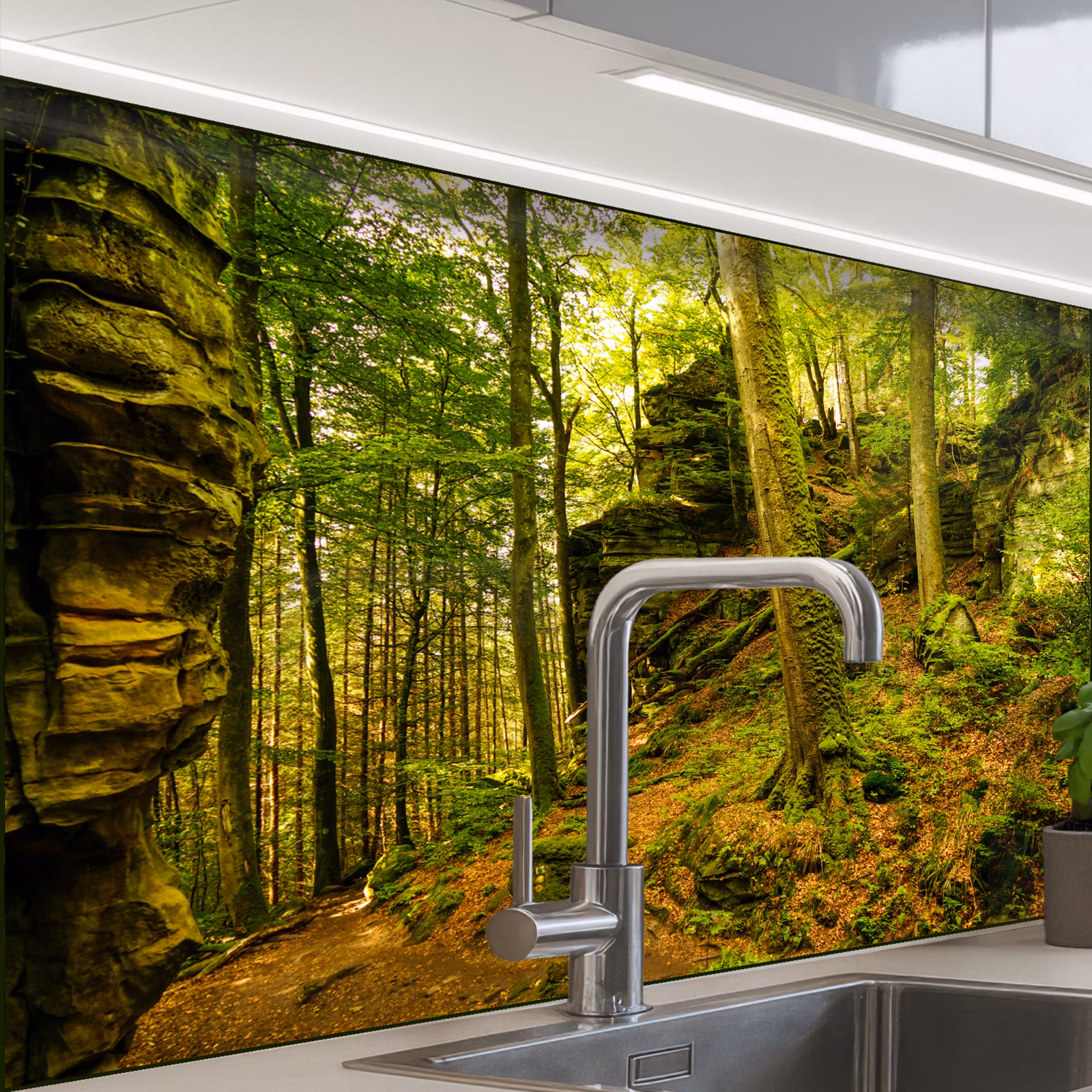 Revestimiento cocina - Árboles - Piedra - Bosque - Naturaleza - Plantas — 1
