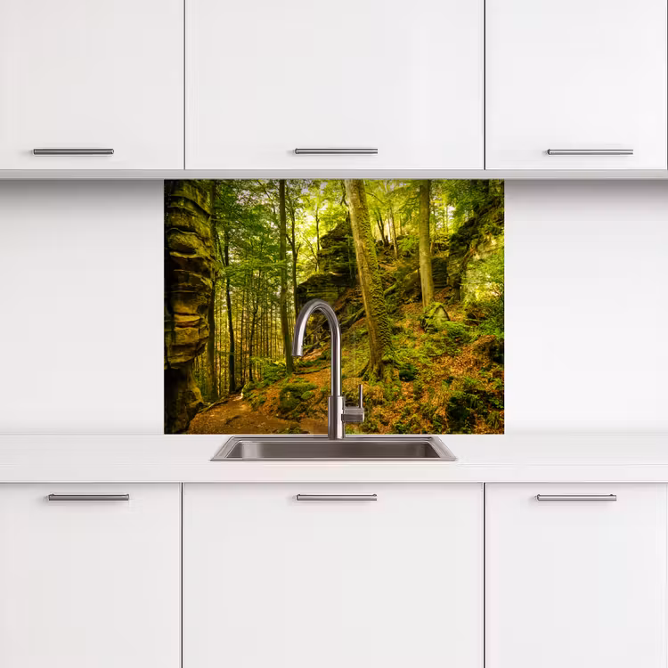 Revestimiento cocina - Árboles - Piedra - Bosque - Naturaleza - Plantas — 3