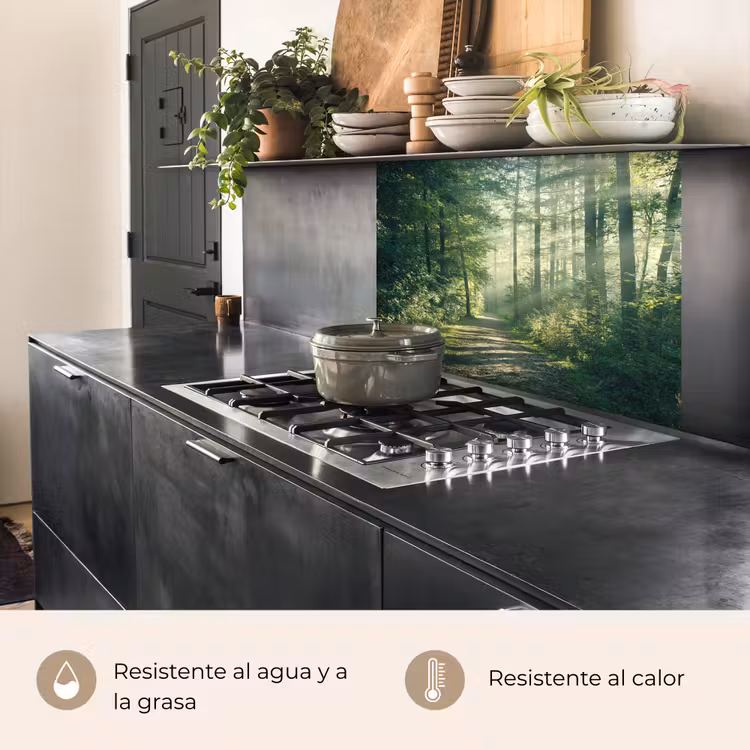 Revestimiento cocina - Bosque - Camino - Sol - Árboles - Verde - Naturaleza — 4