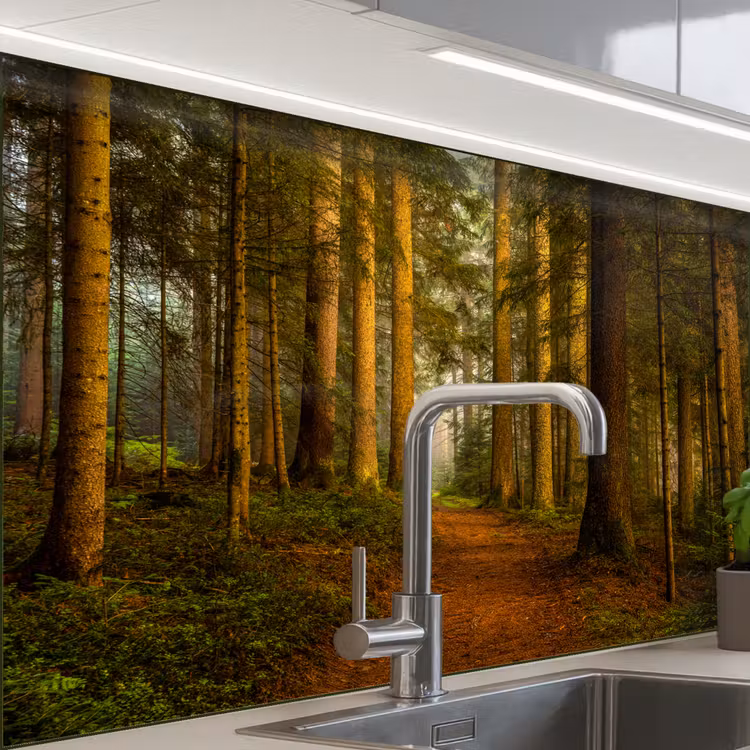 Revestimiento cocina - Bosque - Naturaleza - Árboles - Paisaje - Hojas — 1