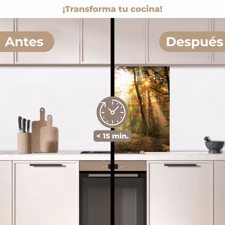 Revestimiento cocina - Bosque - Otoño - Sol - Paisaje - Naturaleza - Árboles - Hojas — 2