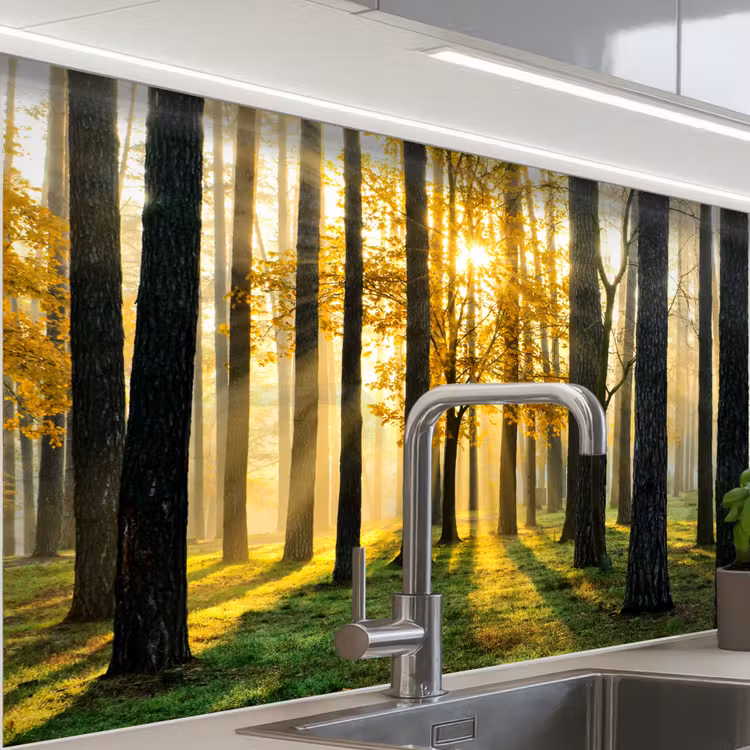 Revestimiento cocina - Bosque - Sol - Árboles - Hierba - Paisaje - Naturaleza — 1