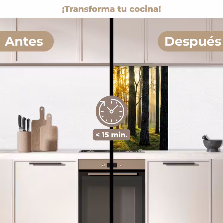 Revestimiento cocina - Bosque - Sol - Árboles - Hierba - Paisaje - Naturaleza — 2