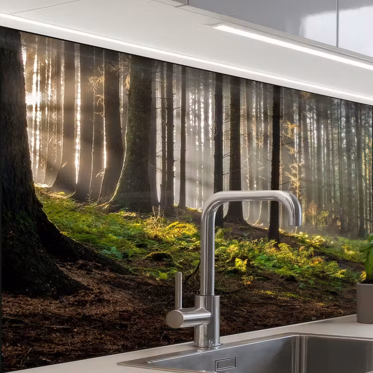 Revestimiento cocina - Sol - Ramas - Árboles - Bosque - Naturaleza — 1