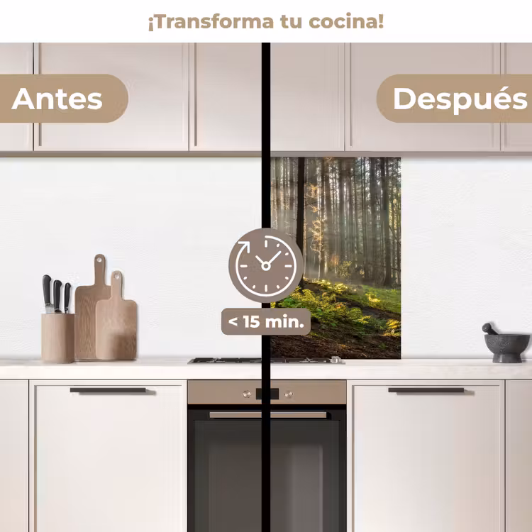 Revestimiento cocina - Sol - Ramas - Árboles - Bosque - Naturaleza — 2