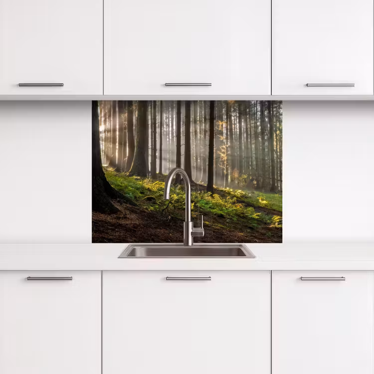 Revestimiento cocina - Sol - Ramas - Árboles - Bosque - Naturaleza — 3