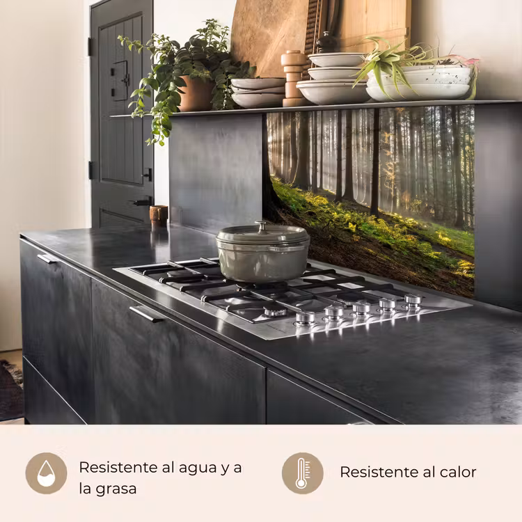 Revestimiento cocina - Sol - Ramas - Árboles - Bosque - Naturaleza — 4