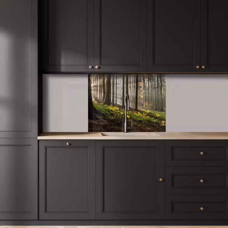 Revestimiento cocina - Sol - Ramas - Árboles - Bosque - Naturaleza — 5