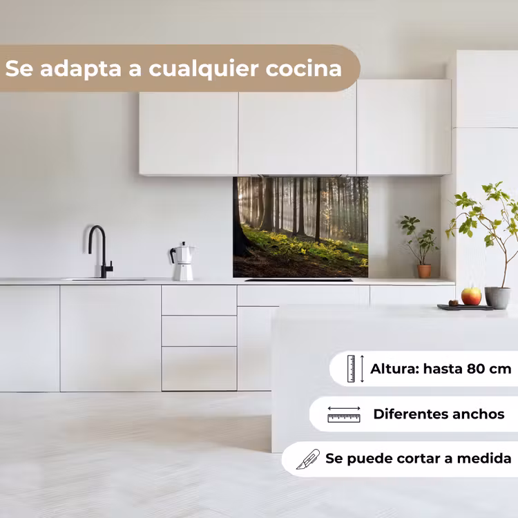 Revestimiento cocina - Sol - Ramas - Árboles - Bosque - Naturaleza — 6