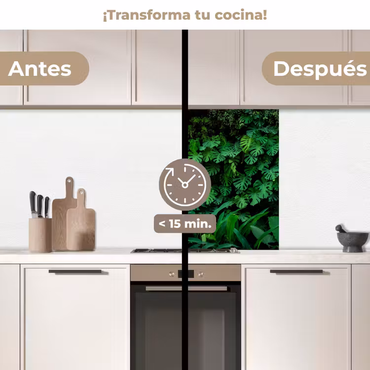 Revestimiento cocina - Naturaleza - Bosque - Verde - Monstera — 2