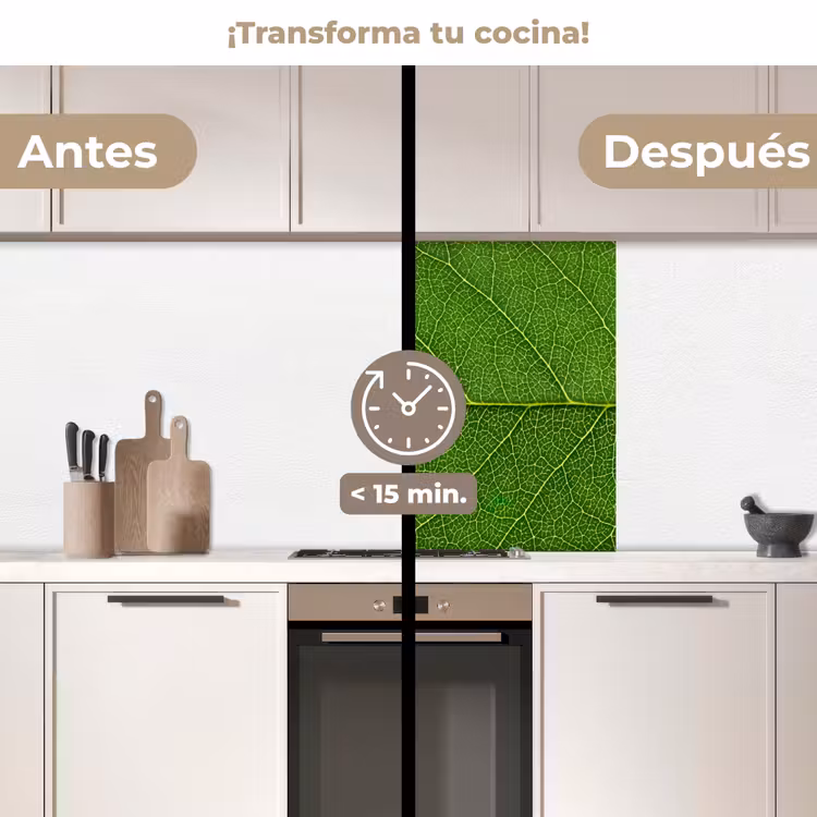 Revestimiento cocina - Naturaleza - Hoja - Verde — 2