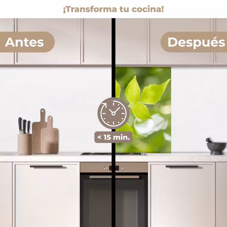 Revestimiento cocina - Naturaleza - Primavera - Verde - Hojas — 2