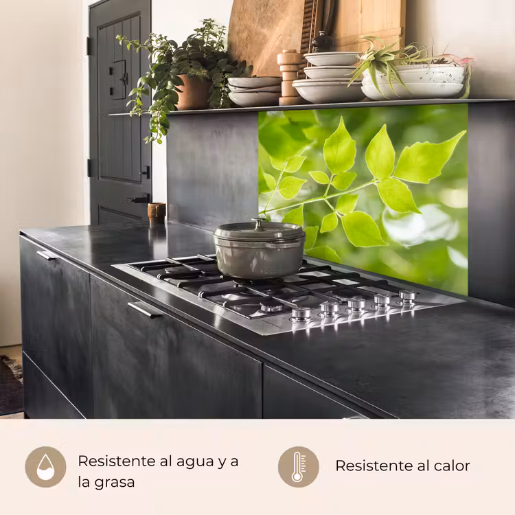 Revestimiento cocina - Naturaleza - Primavera - Verde - Hojas — 4