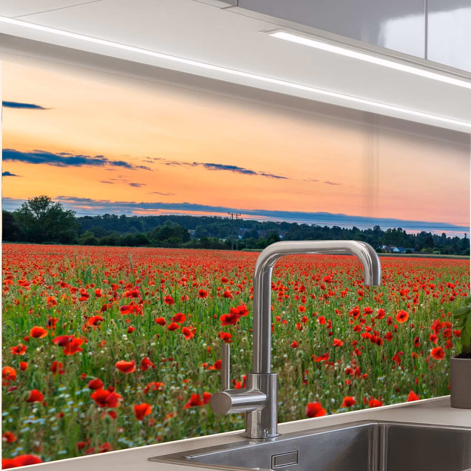 Revestimiento cocina - Amapolas - Paisaje - Rojo - Flores — 1
