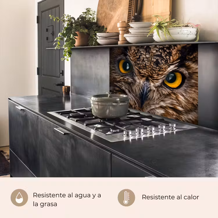 Revestimiento cocina - Búho - Animal - Naranja — 4