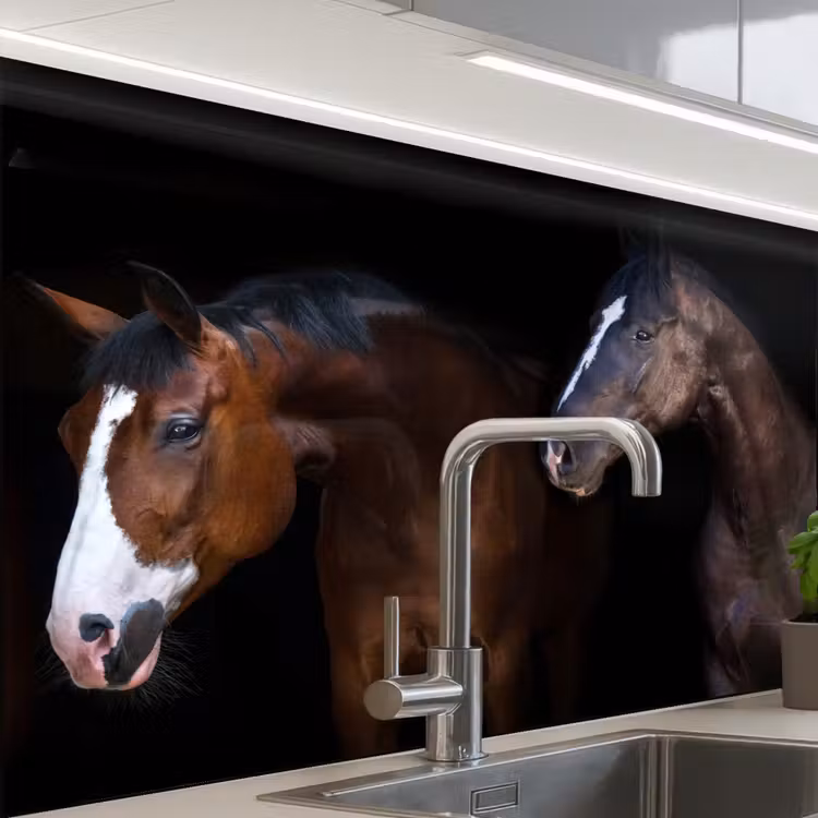 Revestimiento cocina - Caballo - Animales - Negro — 1