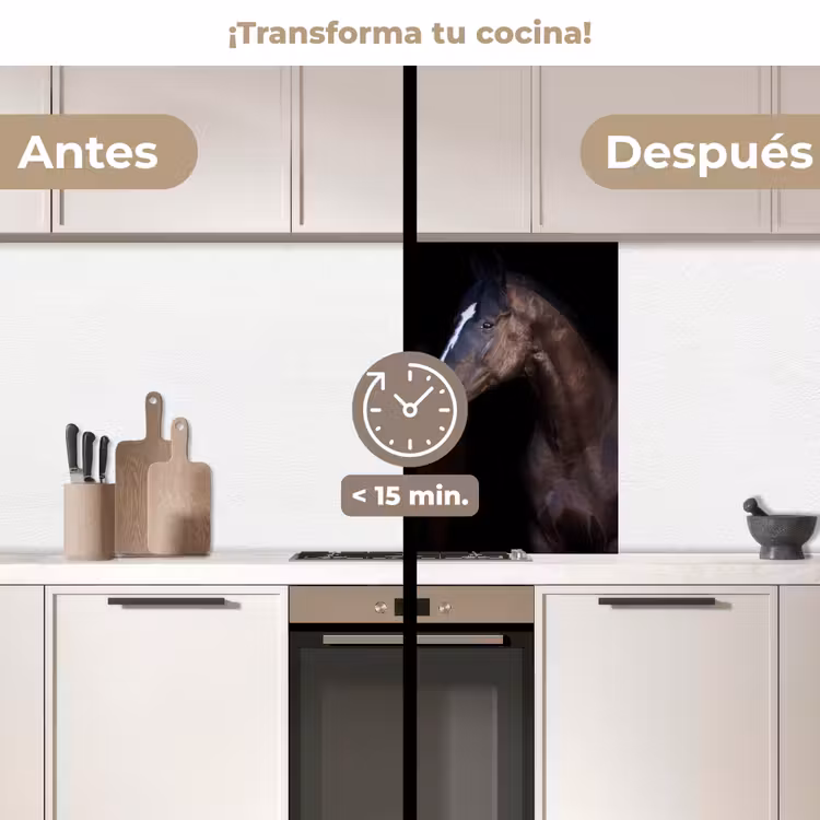 Revestimiento cocina - Caballo - Animales - Negro — 2