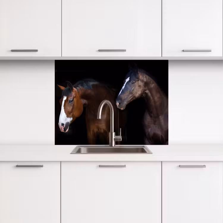 Revestimiento cocina - Caballo - Animales - Negro — 3