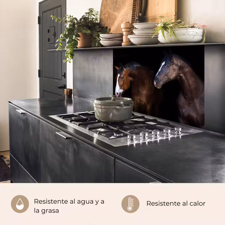 Revestimiento cocina - Caballo - Animales - Negro — 4
