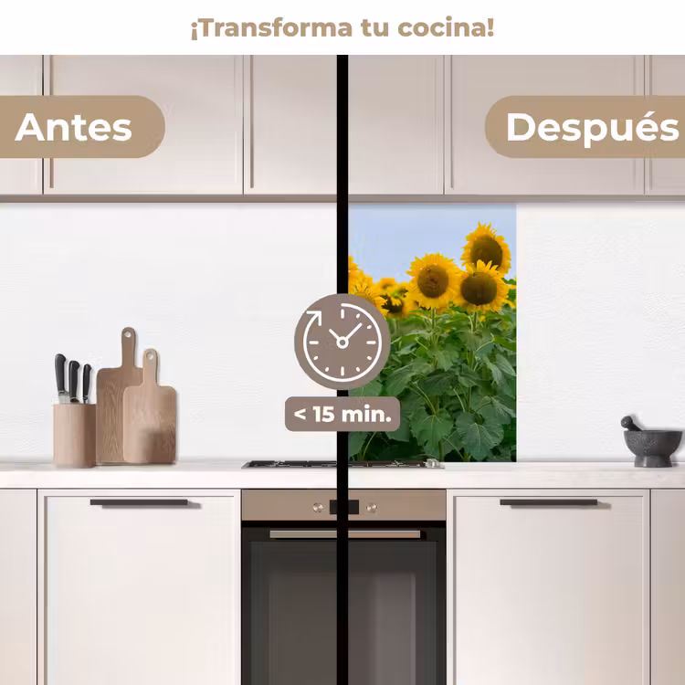 Revestimiento cocina - Girasoles - Amarillo - Naturaleza — 2