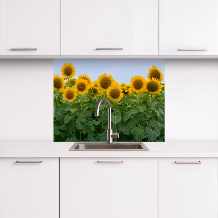 Revestimiento cocina - Girasoles - Amarillo - Naturaleza — 3