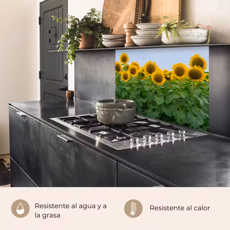 Revestimiento cocina - Girasoles - Amarillo - Naturaleza — 4