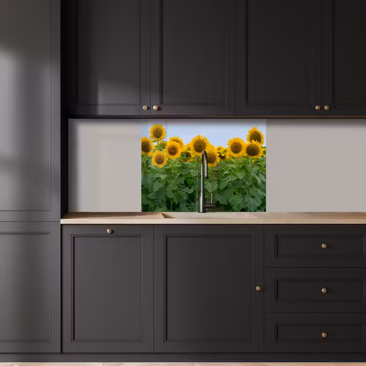 Revestimiento cocina - Girasoles - Amarillo - Naturaleza — 5
