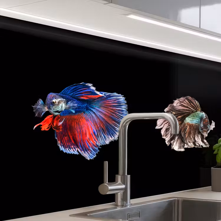 Revestimiento cocina - Peces - Coloridos - Animales — 1
