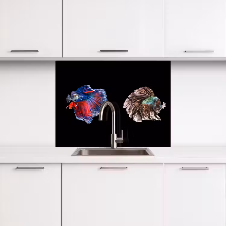 Revestimiento cocina - Peces - Coloridos - Animales — 3