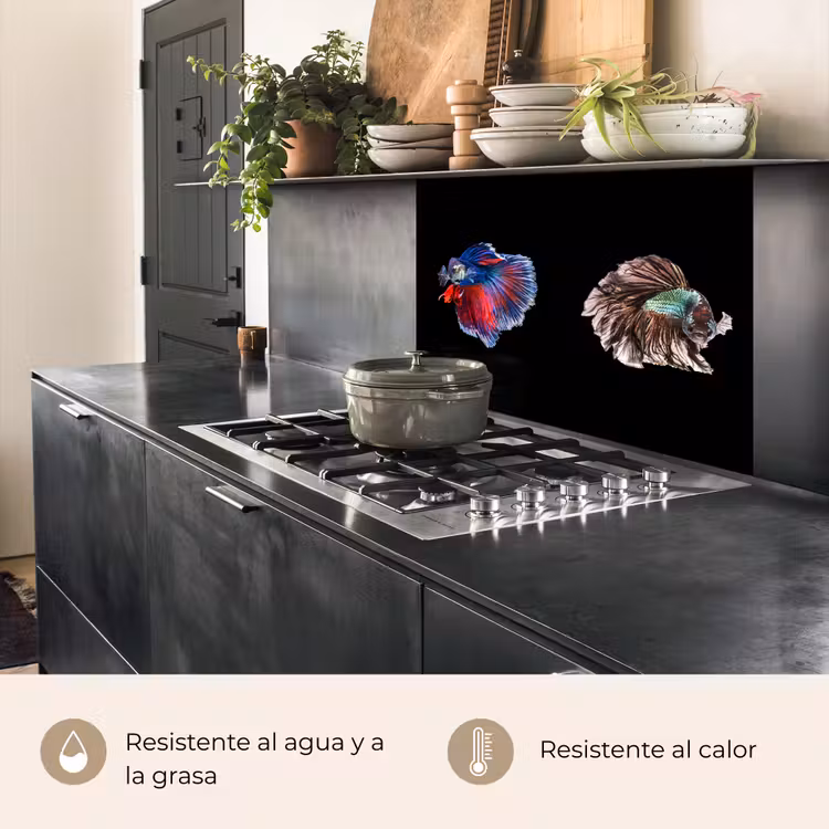Revestimiento cocina - Peces - Coloridos - Animales — 4