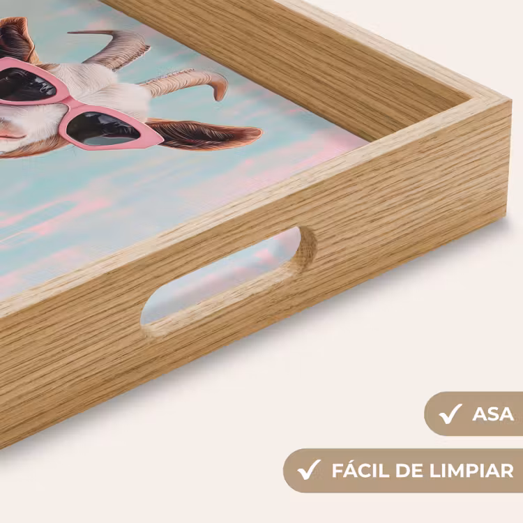 Bandeja - Gafas de sol - Rosa - Cabra - Oído — 8