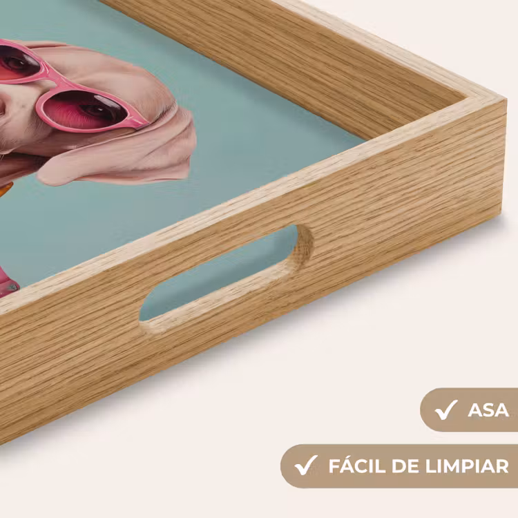 Bandeja - Perro - Camisa - Flores - Gafas — 8