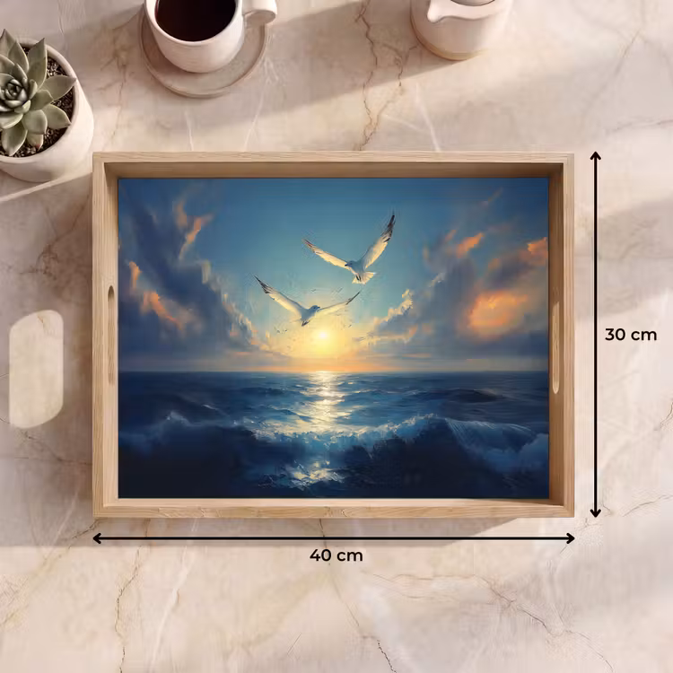 Bandeja - Gaviotas - Mar - Nubes - Azul — 7