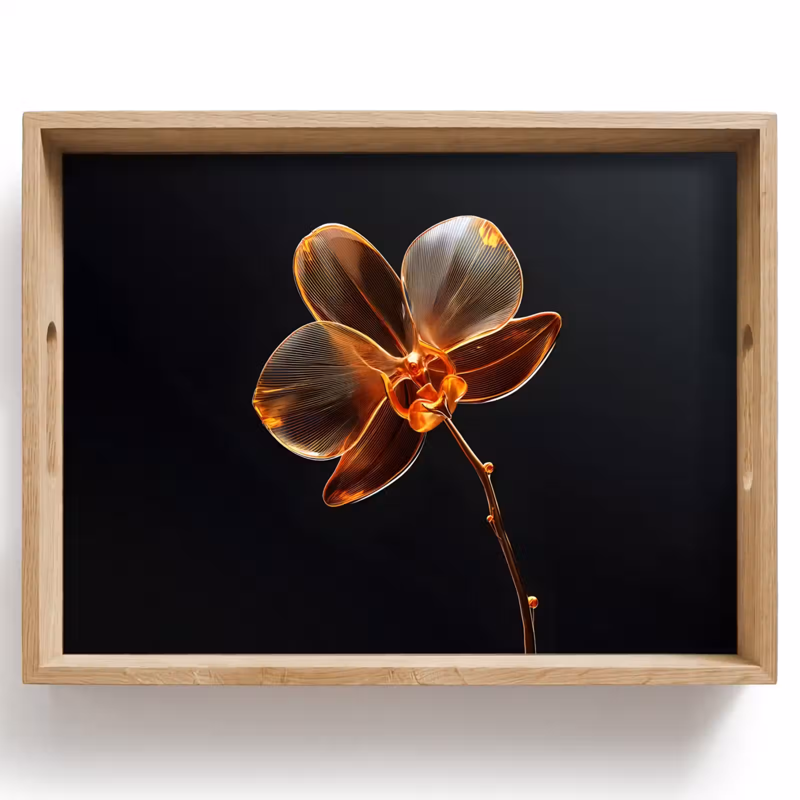 Bandeja - Orquídea - Transparente - Flor — 1