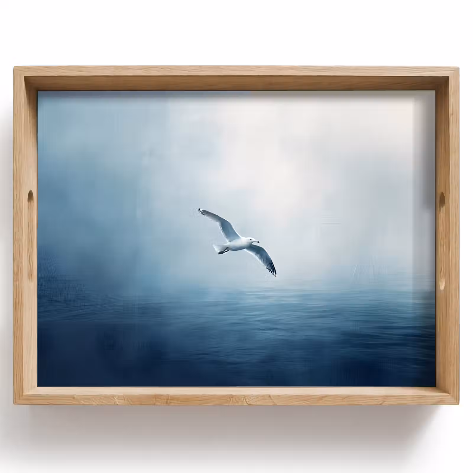 Bandeja - Gaviota - Blanca - Mar - Niebla — 1