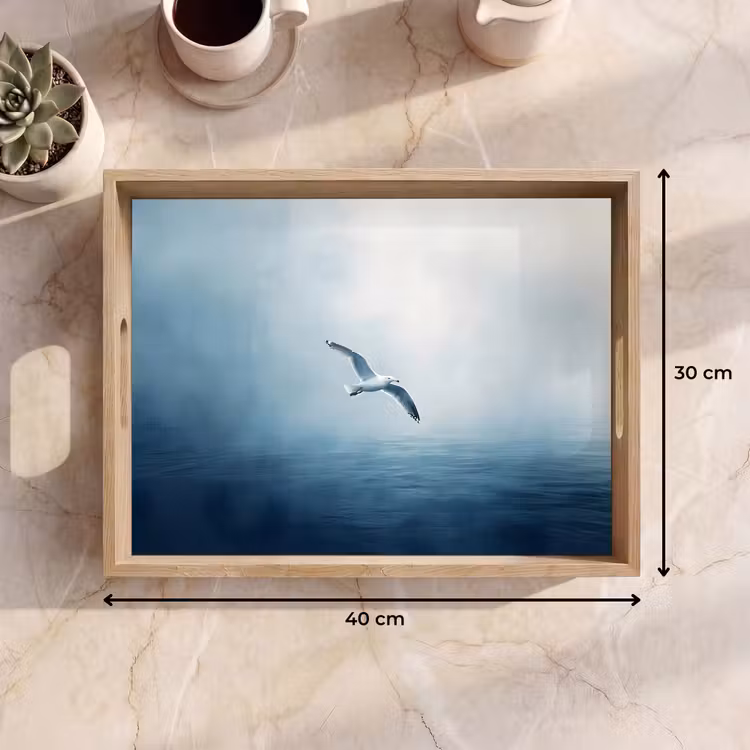 Bandeja - Gaviota - Blanca - Mar - Niebla — 7