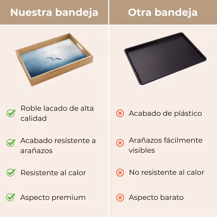 Bandeja - Gaviota - Blanca - Mar - Niebla — 9