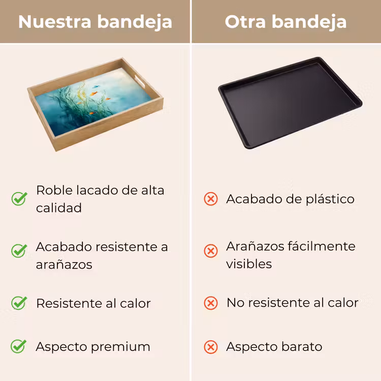 Bandeja - Plantas acuáticas - Peces - Colorido - Agua — 9