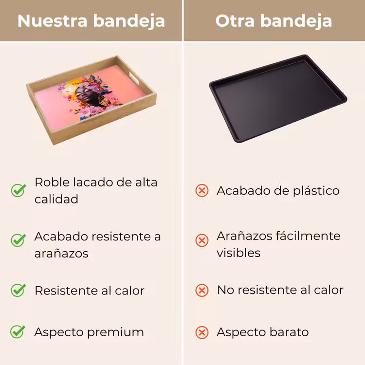 Bandeja - Colorido - Flores - Mujer - Sol — 9