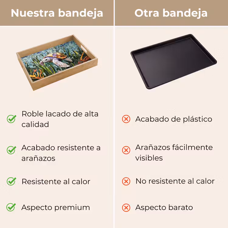 Bandeja - Tortuga - Algas - Mosaico — 9