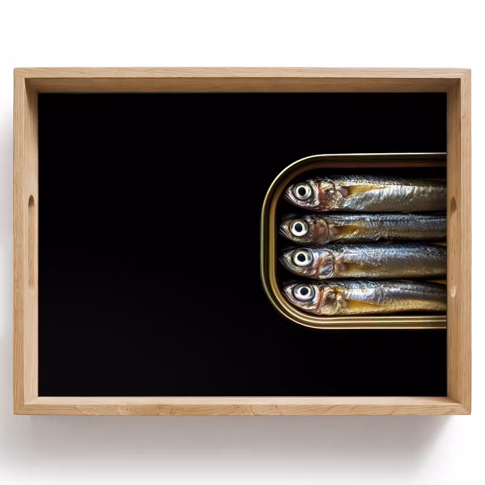 Bandeja - Sardinas - Lata - Negro - Pescado — 1