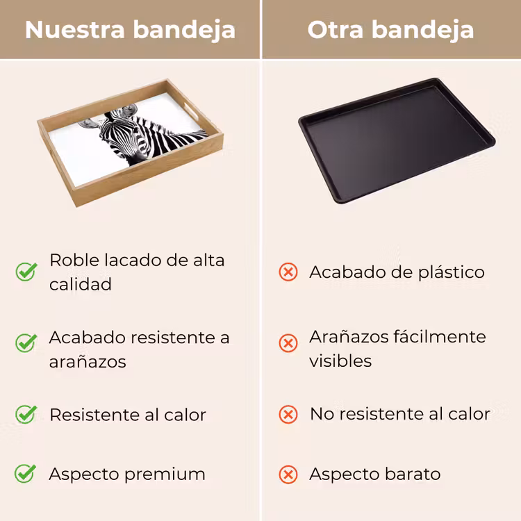 Bandeja - Cebra - Primer plano - Negro - Rayas — 9
