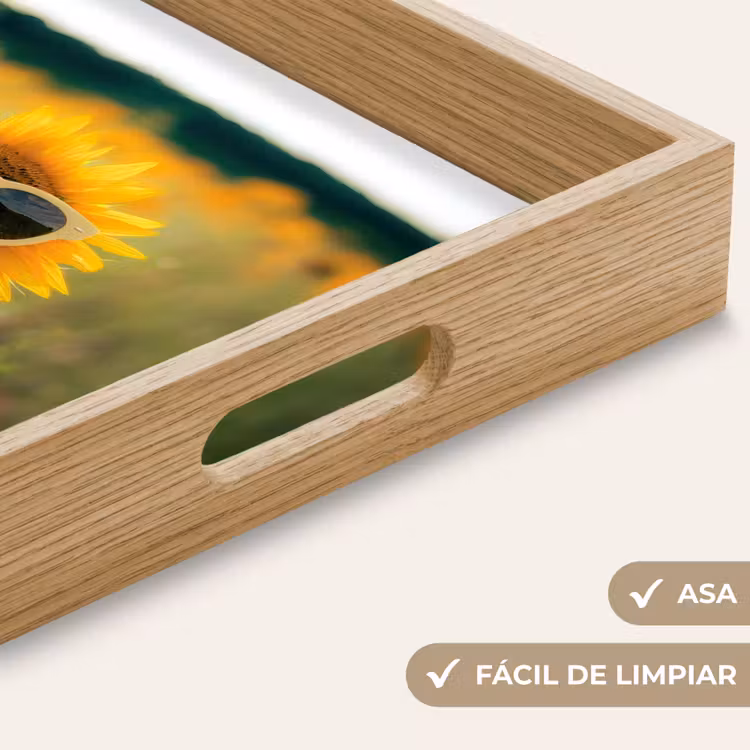 Bandeja - Girasol - Campo - Gafas de sol — 8