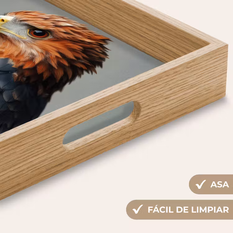 Bandeja - Pájaro - Realista - Plumas - Marrón — 8