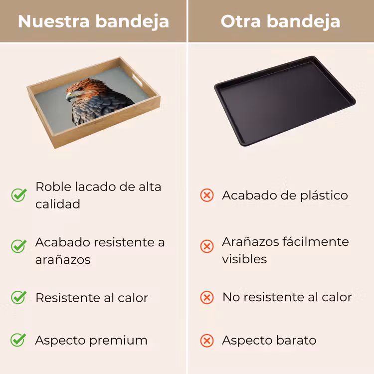 Bandeja - Pájaro - Realista - Plumas - Marrón — 9